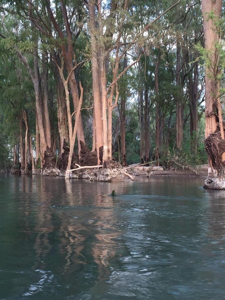 Mekong Boat cruise & Sophamith waterfall in Stung Treng