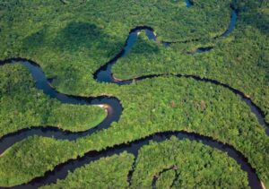 Cardamom Mountains
